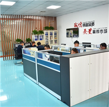 企業(yè)實力